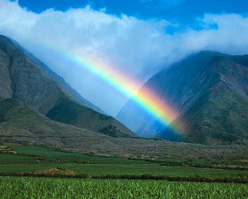 Travel Guide to Maui