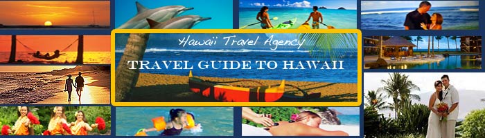 all about hawaii travel agent