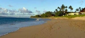  Beach Wedding Planner