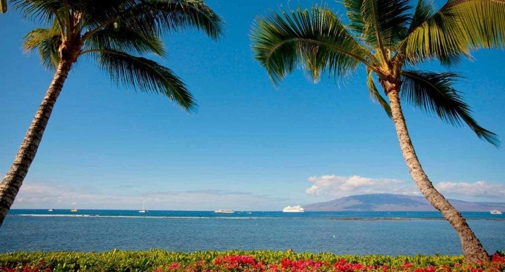 hawaii-cruise