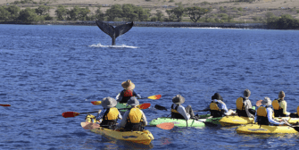uncruise-kayak-hawaii-