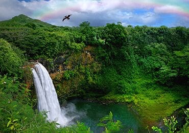 kauai-waterfall-tours