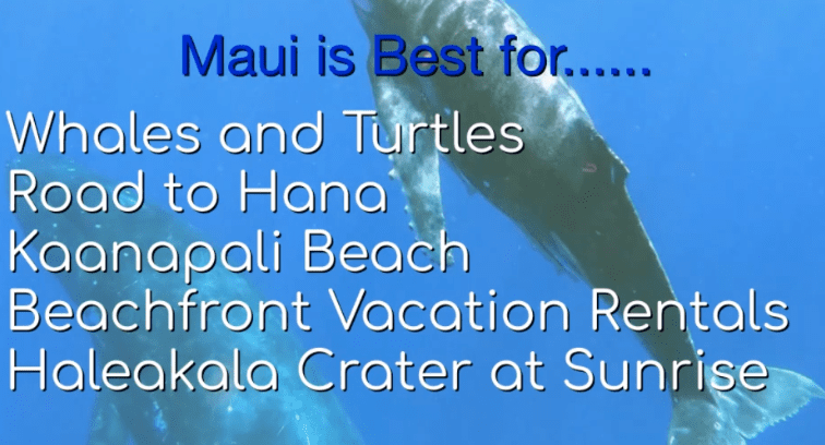 maui-hawaii-travel-planner
