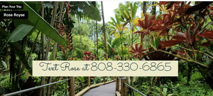 rose-hawaii-travel-agent